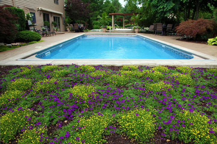 Pool & Fireplace Service Company Lawrence